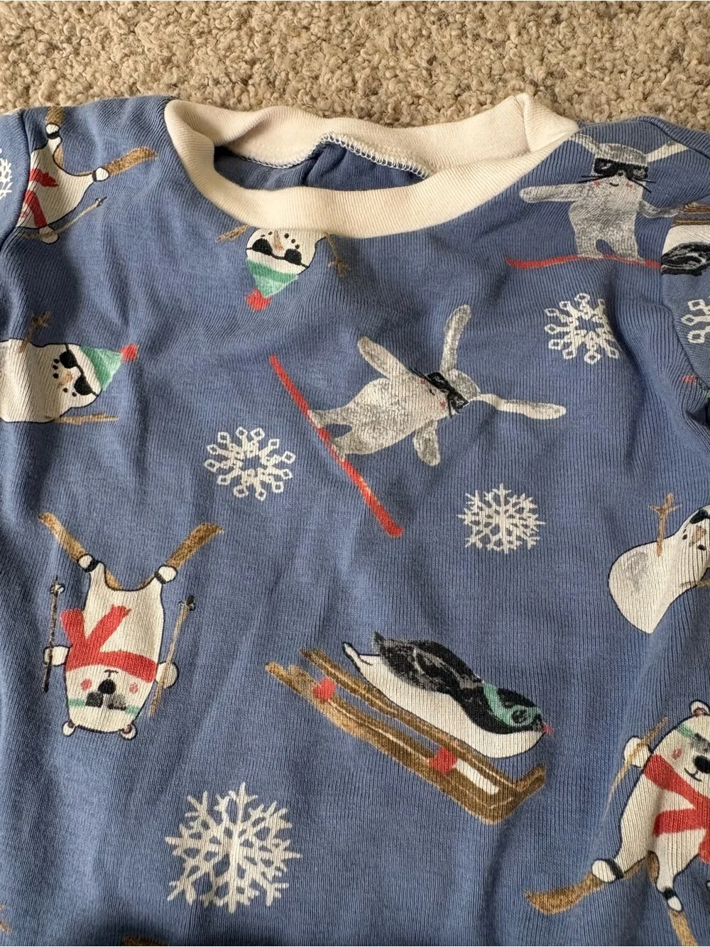 Burt’s Bees Baby 18M Pajamas Long Sleeve Top And Bottoms Winter Penguins